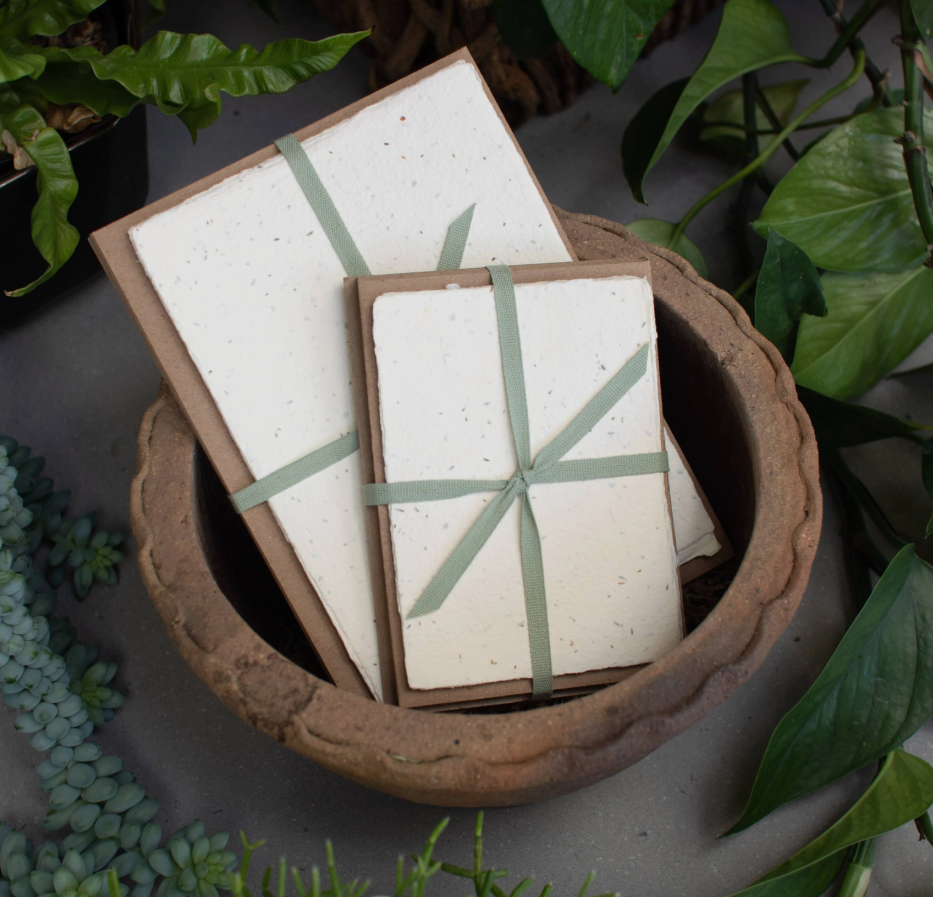 Seed Handmade Paper Pack